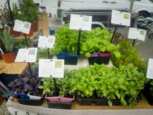 img 20250527 095215 1